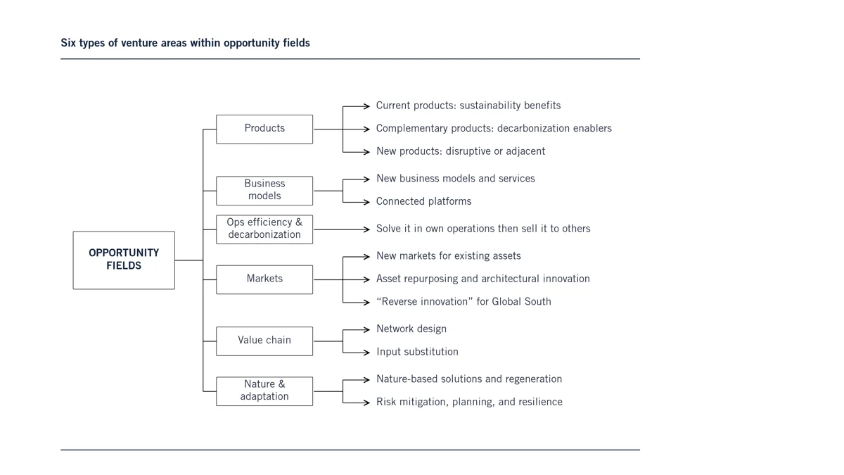 opportunity fields